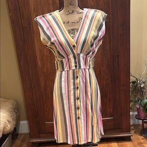 Striped Multicolor Button-Down Dress